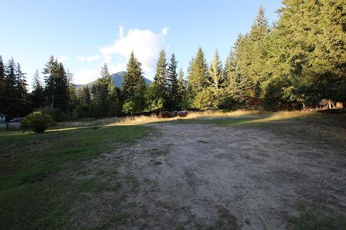 431 Alexander Road, Nakusp, BC - Outdoor With View