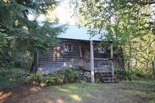 431 Alexander Road, Nakusp, BC - Outdoor