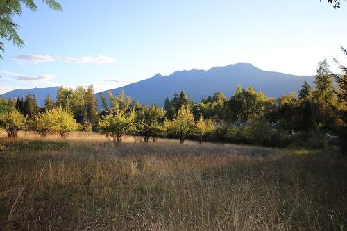 431 Alexander Road, Nakusp, BC - Outdoor With View