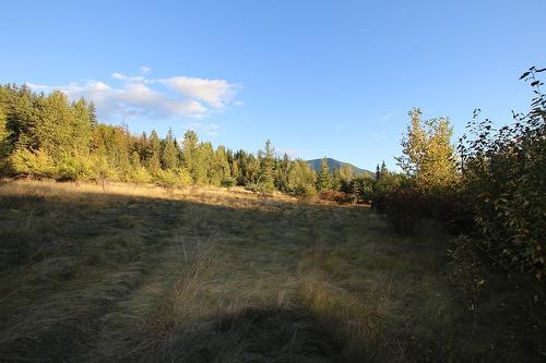 431 Alexander Road, Nakusp, BC - Outdoor With View