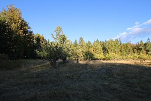 431 Alexander Road, Nakusp, BC - Outdoor With View