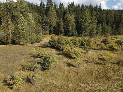 431 Alexander Road, Nakusp, BC - Outdoor With View