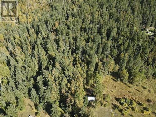 431 Alexander Road, Nakusp, BC - Outdoor With View