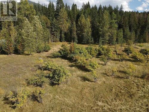 431 Alexander Road, Nakusp, BC - Outdoor With View