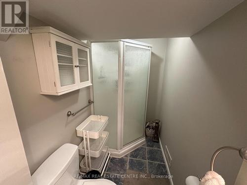 2 - 223 Picton Street E, Hamilton, ON - Indoor Photo Showing Bathroom