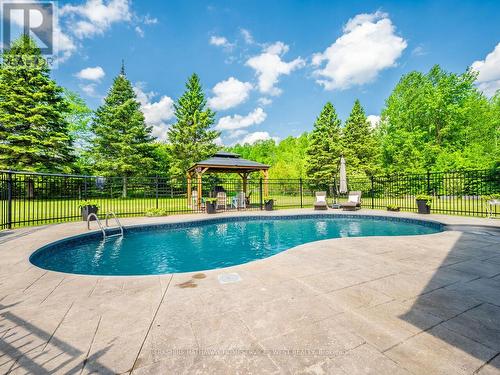 373 Creek View Road, Kawartha Lakes, ON - Outdoor With In Ground Pool With Deck Patio Veranda With Backyard