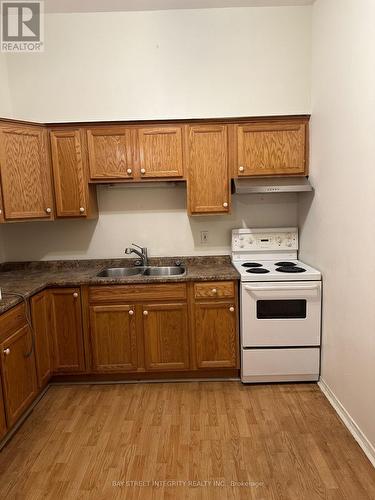 2 - 88 Colborne St. Street, Brantford, ON - Indoor Photo Showing Kitchen With Double Sink