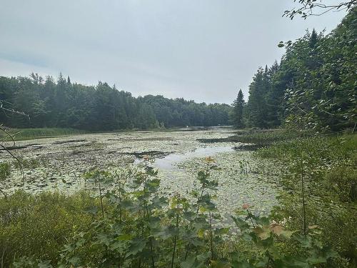 Waterfront - 11 Rue Roger, Wentworth, QC - Outdoor With View