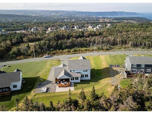 73 Big Meadow Drive, Outer Cove, NL 