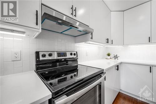 960 Linaria Walk, Ottawa, ON - Indoor Photo Showing Kitchen