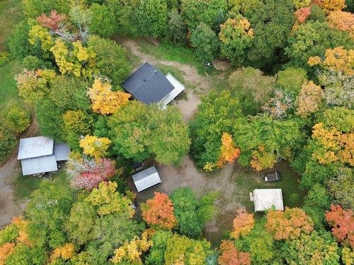 Vue d'ensemble - 61 Ch. De La Ferme, Trois-Rives, QC - Outdoor