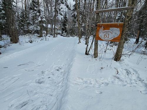 Backyard - 61 Ch. De La Ferme, Trois-Rives, QC - Outdoor