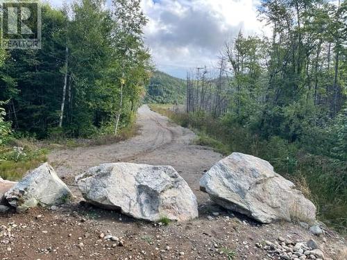 460 Route - White'S Road, Gull Pond, NL 