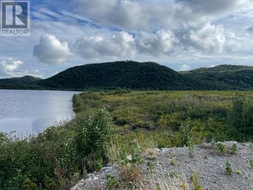 460 Route - White'S Road, Gull Pond, NL 