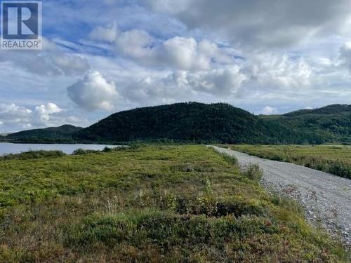 460 Route - White'S Road, Gull Pond, NL 