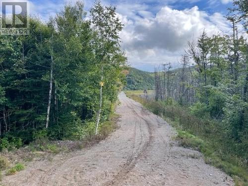 460 Route - White'S Road, Gull Pond, NL 