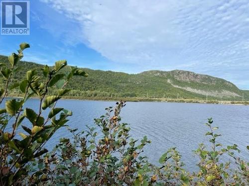 460 Route - White'S Road, Gull Pond, NL 