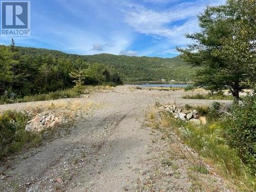 460 Route - White'S Road, Gull Pond, NL 