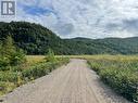 460 Route - White'S Road, Gull Pond, NL 