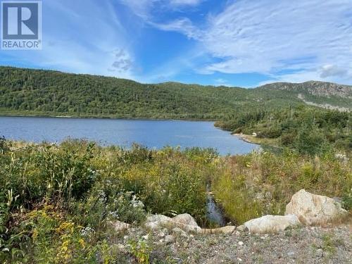 460 Route - White'S Road, Gull Pond, NL 