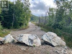 460 Route - White's Road  Gull Pond, NL A2N 2Y4