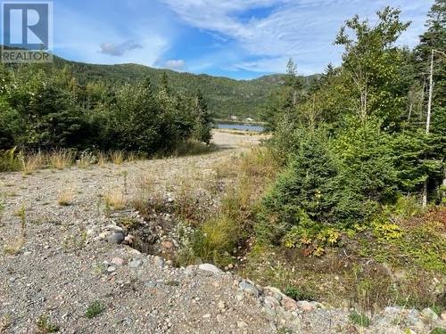 460 Route - White'S Road, Gull Pond, NL 