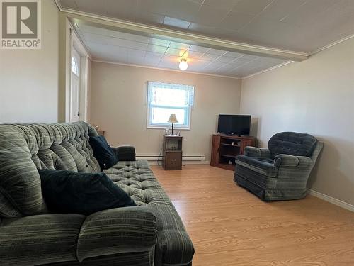 699 Sunset Drive, Garnish, NL - Indoor Photo Showing Living Room