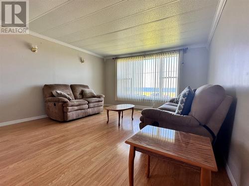 699 Sunset Drive, Garnish, NL - Indoor Photo Showing Living Room