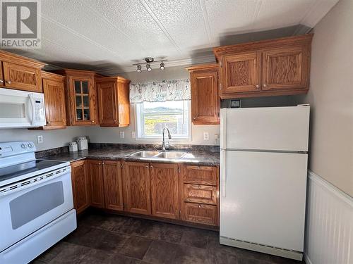 699 Sunset Drive, Garnish, NL - Indoor Photo Showing Kitchen With Double Sink