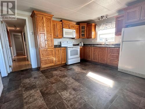 699 Sunset Drive, Garnish, NL - Indoor Photo Showing Kitchen