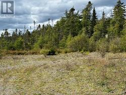 454 St. Martin's Road  Saint John, NB E2S 1E4