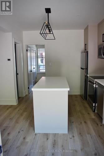 184 Burris Street, Hamilton, ON - Indoor Photo Showing Kitchen With Double Sink