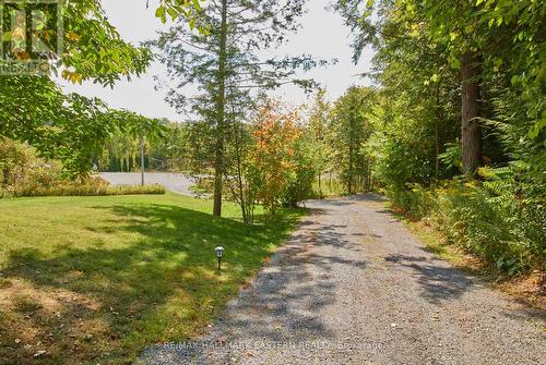 23 Woodland Trail, Kawartha Lakes (Bethany), ON - Outdoor With View