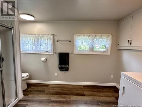 21 Hudson Drive, Aroostook, NB - Indoor Photo Showing Bathroom