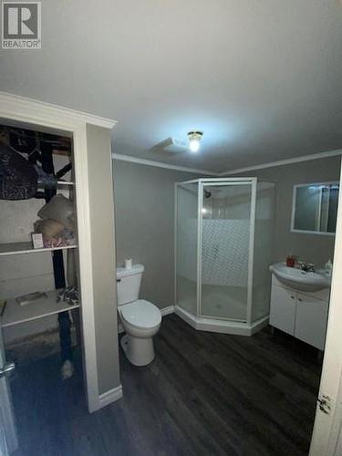 4-6 Devonshire Road, Harbour Grace, NL - Indoor Photo Showing Bathroom