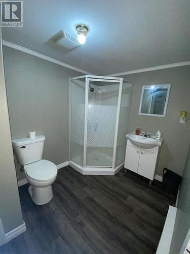 4-6 Devonshire Road, Harbour Grace, NL - Indoor Photo Showing Bathroom