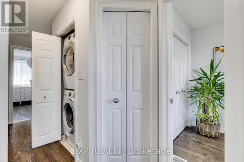 36 Tudor Street, Kitchener, ON - Indoor Photo Showing Laundry Room