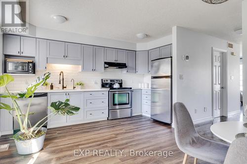 36 Tudor Street, Kitchener, ON - Indoor Photo Showing Kitchen With Stainless Steel Kitchen