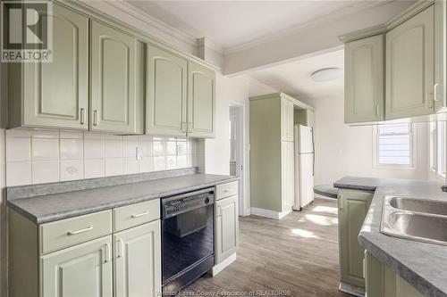 377 John B Avenue, Windsor, ON - Indoor Photo Showing Kitchen With Double Sink