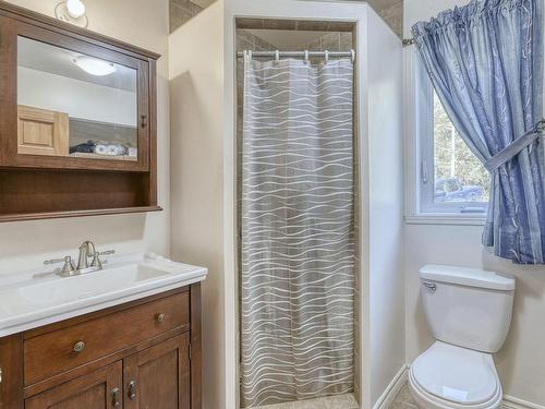 Salle de bains - 46 Ch. Preston, La Minerve, QC - Indoor Photo Showing Bathroom