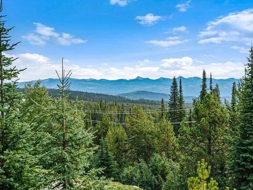 4833 Snowpines Road, Big White, BC - Outdoor With View