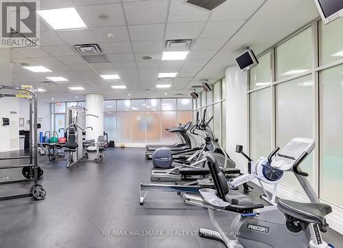 2004 - 15 Windermere Avenue, Toronto, ON - Indoor Photo Showing Gym Room