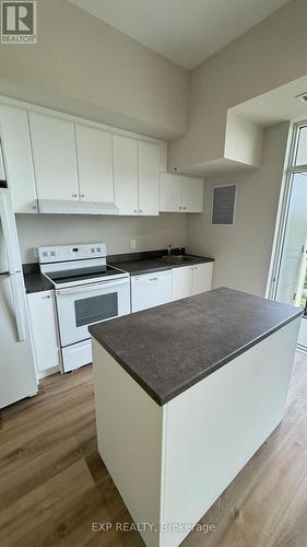 Lp - 50 Herrick Avenue, St. Catharines, ON - Indoor Photo Showing Kitchen With Double Sink