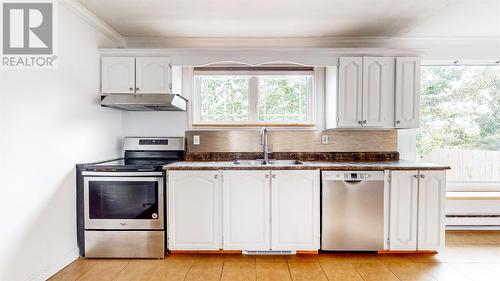 59 Terra Nova Road, St. John'S, NL - Indoor Photo Showing Kitchen With Double Sink