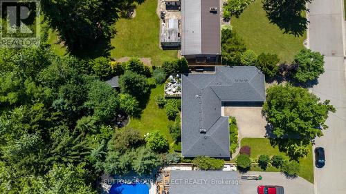 Trees, trees, trees. - 824 Clearview Avenue, London, ON - Outdoor With View