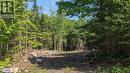 Lot 2 Limberlost Road, Lake Of Bays, ON 