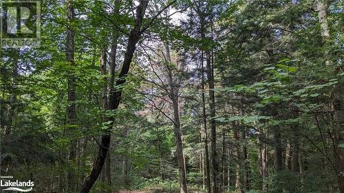 Lot 2 Limberlost Road, Lake Of Bays, ON 