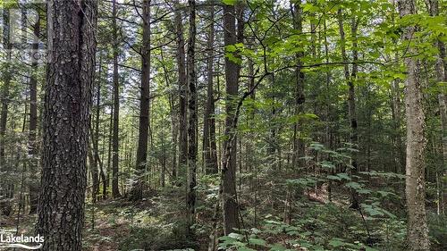 Lot 2 Limberlost Road, Lake Of Bays, ON 