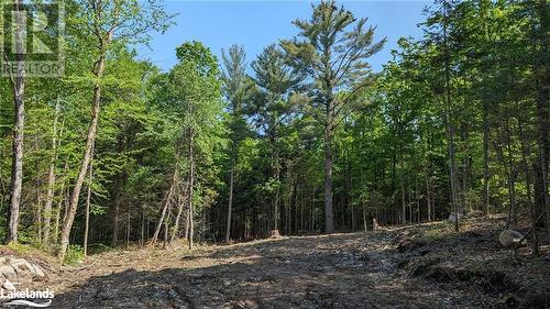 Lot 2 Limberlost Road, Lake Of Bays, ON 