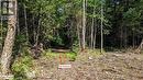 Lot 2 Limberlost Road, Lake Of Bays, ON 